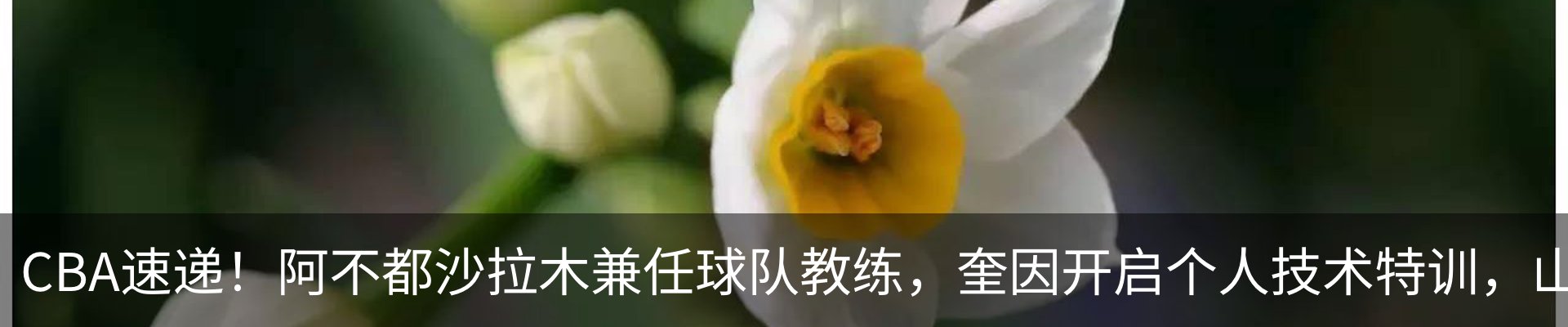 资讯中心